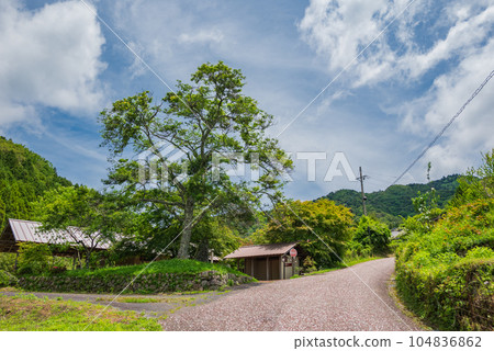 [Samurai Road] Jippensha Ichiku Kyoka Monument [Magome Pass] 104836862