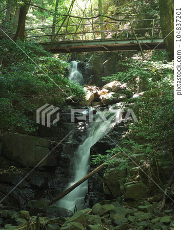 Water steps of a clear stream flowing through a small valley Water steps of a clear stream flowing through a small valley 104837201