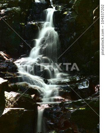 Water steps of a clear stream flowing through a small valley Water steps of a clear stream flowing through a small valley 104837202