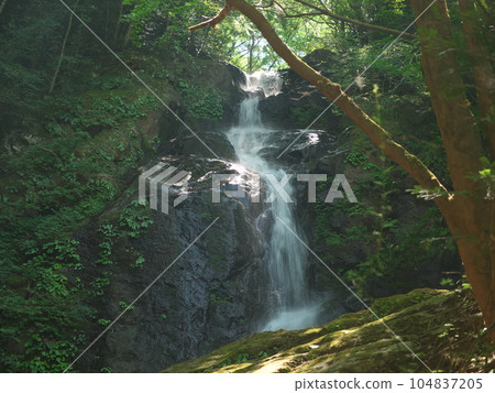 一條清澈的小溪流過一個小山谷 104837205