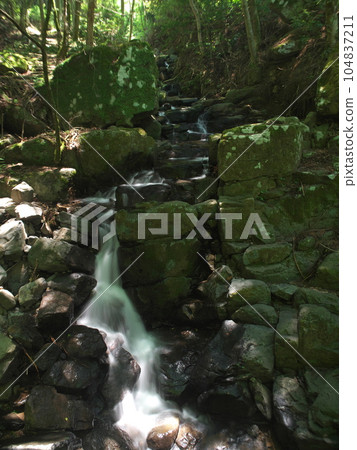 一條清澈的小溪流過一個小山谷 一條清澈的小溪流過一個小山谷 104837211