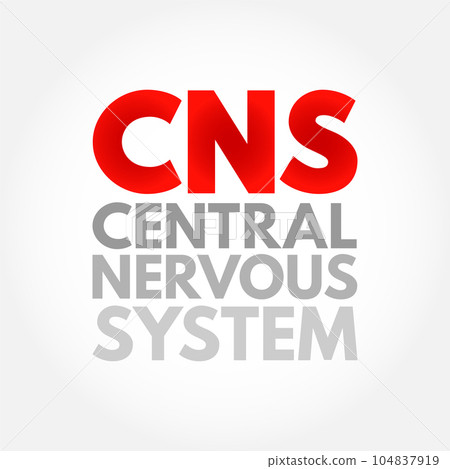 CNS - Central Nervous System is the part of the nervous system consisting primarily of the brain and spinal cord, acronym text concept background CNS - Central Nervous System is the part of the nervous system consisting primarily of the brain and spinal cord, acronym text concept background 104837919