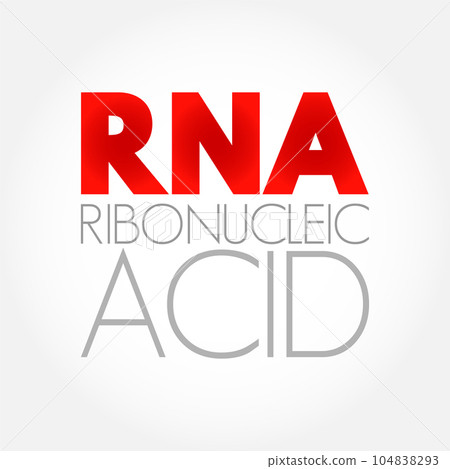 RNA Ribonucleic acid - polymeric molecule essential in various biological roles in regulation and expression of genes, acronym text concept background RNA Ribonucleic acid - polymeric molecule essential in various biological roles in regulation and expression of genes, acronym text concept background 104838293