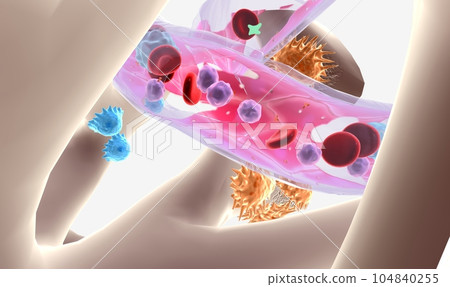 The Multiple Myeloma Cellular Level The Multiple Myeloma Cellular Level 104840255