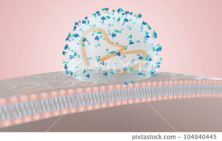 virus attack on immune system 104840445