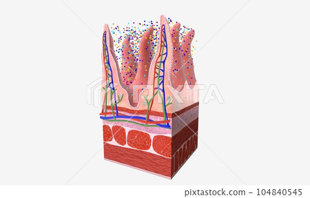 Healthy microbiome;The body is filled with a mixture of good and bad bacteria, called flora or microbiota. Healthy microbiome;The body is filled with a mixture of good and bad bacteria, called flora or microbiota. 104840545