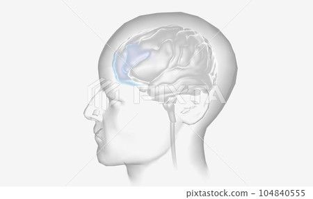 The Prefrontal Cortex Brain Stimulation The Prefrontal Cortex Brain Stimulation 104840555