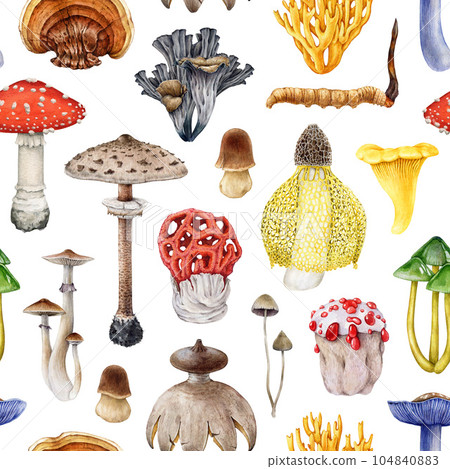Painted vintage style mushrooms seamless pattern. Watercolor illustration. Hand drawn various exotic mushroom elements. Different beautiful fungi seamless pattern. White background Painted vintage style mushrooms seamless pattern. Watercolor illustration. Hand drawn various exotic mushroom elements. Different beautiful fungi seamless pattern. White background 104840883
