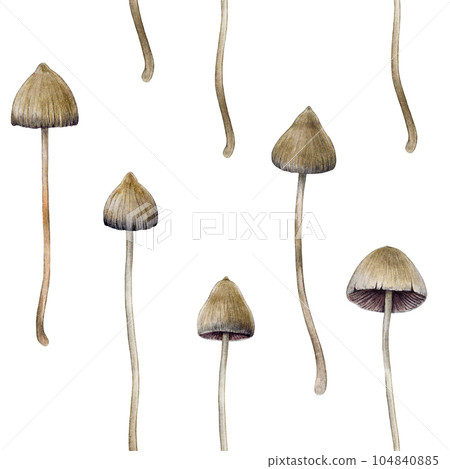 Psilocybe semilanceata mushroom seamless pattern. Watercolor illustration. Hand drawn liberty cap psilocybin shrooms. Hallucinogen mushrooms seamless pattern on white background 104840885