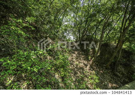 Kannabe Castle Ruins Horikiri Ruins (Kenuki Moat Ruins) Fukuyama City, Hiroshima Prefecture 104841413
