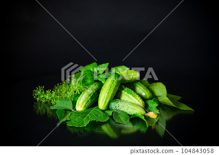 a set of products for pickling cucumbers a set of products for pickling cucumbers 104843058