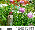 繡球花園 104843453