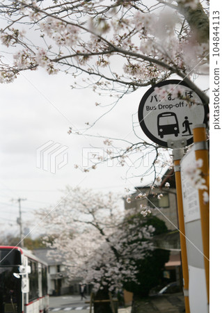 Bus stop (bus stop) terminal Bus stop (bus stop) terminal 104844113
