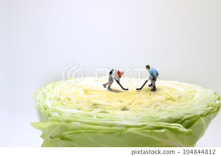 fun of figure ice hockey sport on Cabbage fun of figure ice hockey sport on Cabbage 104844812