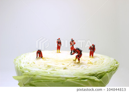 a fun of figure hug and stand together on Cabbage a fun of figure hug and stand together on Cabbage 104844813