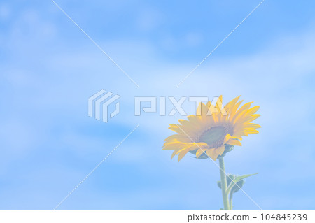 nostalgic landscape images 104845239