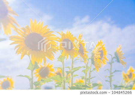 nostalgic landscape images nostalgic landscape images 104845266