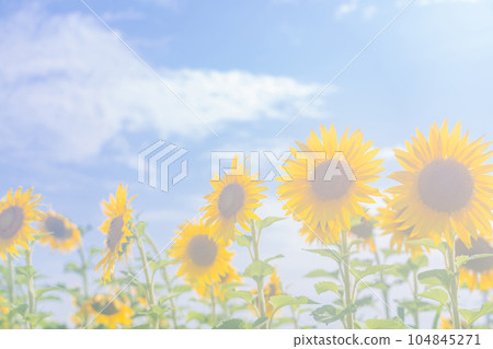 nostalgic landscape images 104845271