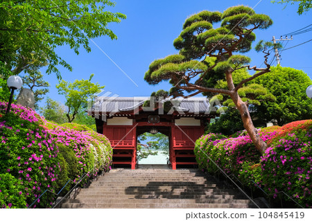 Gokokuji Furomon Gate, Bunkyo Ward, Tokyo 104845419