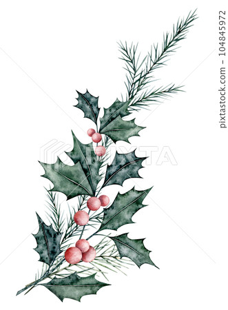Christmas bouquet of ilex branches with red berries and spruce branch, evergreen tree, fir, cedar. Emerald holly leaves. Botanical Winterberry banner. Hand painted watercolor illustration for wedding 104845972