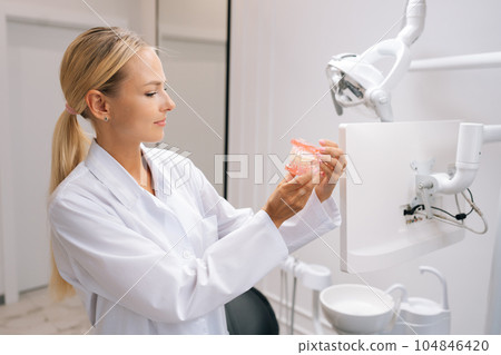 Portrait of blonde female dental doctor holding realistic model of jaws and looking to her. Specialist showing human cavity structure in dentistry clinic. Concept of stomatology, orthodontics. 104846420
