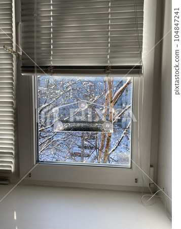 A transparent plastic feeder on suction cups is installed on the window of the house. A transparent plastic feeder on suction cups is installed on the window of the house. 104847241