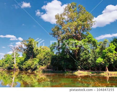 Trees on the shore of a shallow pond on a sunny autumn day, white cumulus clouds in a blue sky, landscape. 104847255