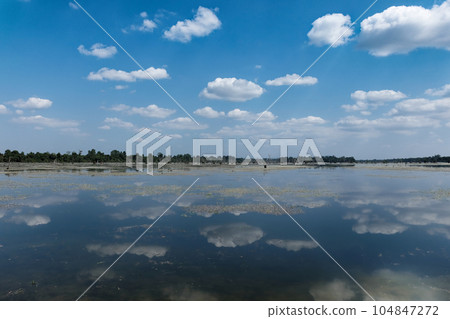 White fluffy clouds are reflected from the calm surface of the Cambodian pond on a sunny day, landscape. 104847272