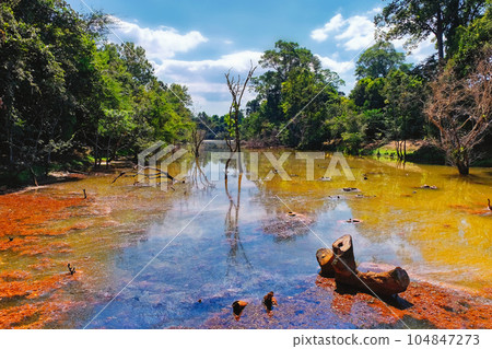 Multicolored muddy water of a swampy river in Southeast Asia, landscape. Multicolored muddy water of a swampy river in Southeast Asia, landscape. 104847273