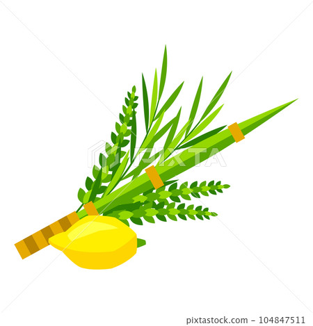 Happy Sukkot symbols. Four species etrog, lulav, willow and myrtle branches. 104847511