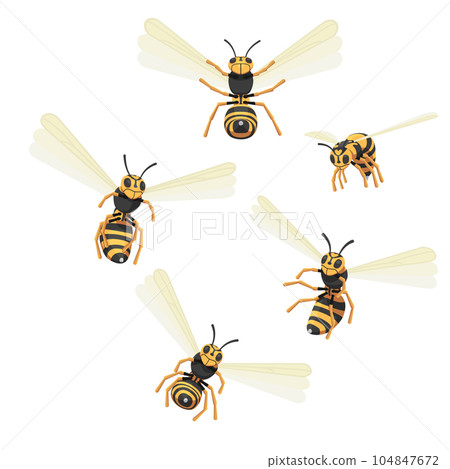 Set of attacking wasps. 104847672