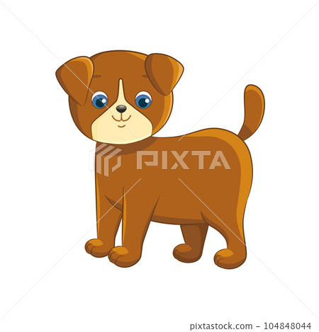 Cute little brown puppy on a white background. 104848044