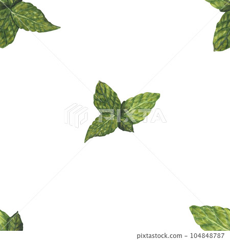 Watercolor seamless pattern mint leaves. Hand-drawn illustration isolated on white background. Concept for fabric print, label, banner, menu, flyer, brochure template 104848787