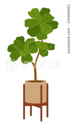 Pot with green plant, flower, office flowerpot. Isolated vector tropical tree with lush green leaves in terracotta cup. Natural foliage for decorating home area, creating bold look to indoor space Pot with green plant, flower, office flowerpot. Isolated vector tropical tree with lush green leaves in terracotta cup. Natural foliage for decorating home area, creating bold look to indoor space 104848801