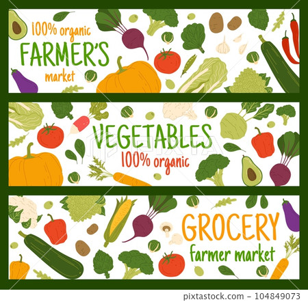 Autumn harvest raw vegetables. Vector banners with squash, spinach, champignon and bell pepper with carrot. Avocado, corn cob, potato, pumpkin and beetroot. Broccoli, eggplant, tomato and kohlrabi Autumn harvest raw vegetables. Vector banners with squash, spinach, champignon and bell pepper with carrot. Avocado, corn cob, potato, pumpkin and beetroot. Broccoli, eggplant, tomato and kohlrabi 104849073
