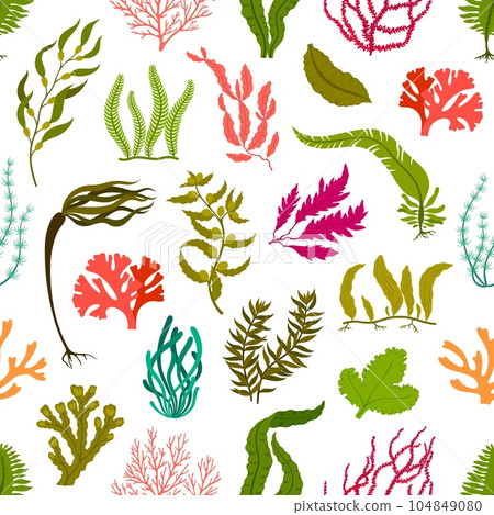Underwater seaweed plants seamless pattern with vector corals and algae. Aquarium, sea and ocean water seaweed background. Green and red leaves of marine plants, kelp, laminaria, gracilaria, codium 104849080