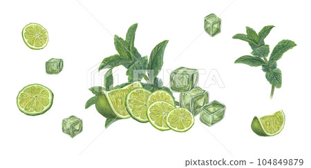 Watercolor set of Ice Cubes, Lime slices, Mint sprig isolated on white background. Composition and individual elements. Botanical illustration for menu, celebration design, cocktail party Watercolor set of Ice Cubes, Lime slices, Mint sprig isolated on white background. Composition and individual elements. Botanical illustration for menu, celebration design, cocktail party 104849879