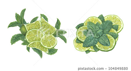 Watercolor set of fresh lime slices, green mint branch isolated on white background. Botanical illustration for poster, print, cards, menu, celebration design, cocktail party, flyer Watercolor set of fresh lime slices, green mint branch isolated on white background. Botanical illustration for poster, print, cards, menu, celebration design, cocktail party, flyer 104849880