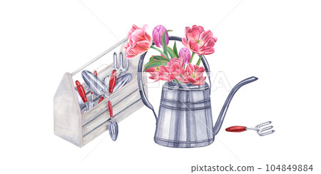 Watercolor garden tools in wooden box. Bouquet of pink double tulips in steel watering can. Illustration isolated on white background. Hand trowels, fork, crate, flowers for gardening and flowering 104849884
