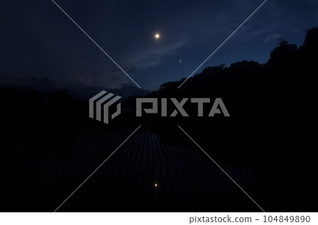 Takegawa-cho, Hokuto City, the Moon and Venus, with a moon age of 4.9, are reflected in the rice paddies that have been planted. 104849890