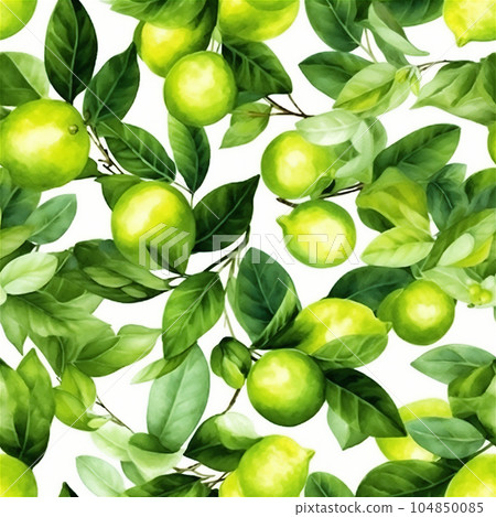 Beautiful seamless pattern green limes with leaves on white background in vintage style. 104850085