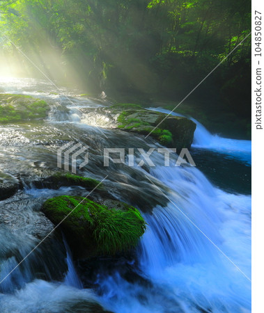 Kikuchi Valley in summer with rays of light (Kikuchi City, vertical composition) 104850827