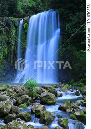 Sakuradaki in summer (Hita city, vertical composition) 104850828