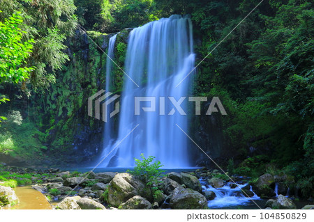 Cherry Waterfall in Summer (Hita City) 104850829