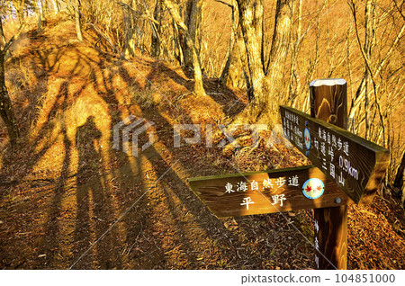 丹澤的高崎山，日出時的加蘇邊界山脊，平原分歧的早晨 104851000