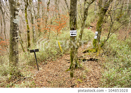 Yamabushi Pass, which connects the Tanzawa Mountains and the Doshi Mountains Yamabushi Pass, which connects the Tanzawa Mountains and the Doshi Mountains 104851028