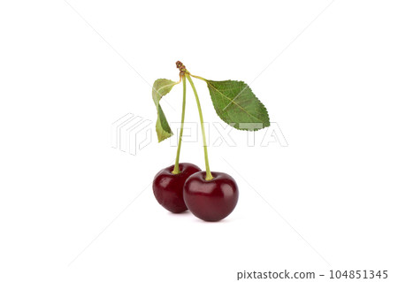 Two ripe cherries with leaves isolated on white background. Two ripe cherries with leaves isolated on white background. 104851345