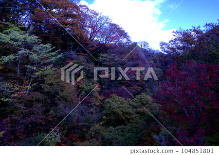 Kokonoe Valley Autumn Leaves 104851801