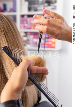 Professional hair stylist holding comb and hot thermal scissors cutting tips of long straight hair lock closeup. Professional hair stylist holding comb and hot thermal scissors cutting tips of long straight hair lock closeup. 104851803