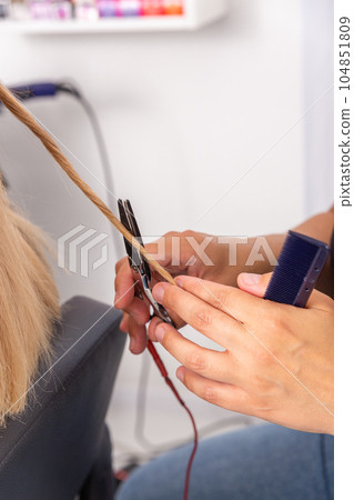Professional hair stylist holding comb and hot thermal scissors cutting tips of long straight hair lock closeup. Professional hair stylist holding comb and hot thermal scissors cutting tips of long straight hair lock closeup. 104851809